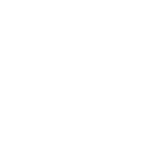 REPOX LABS